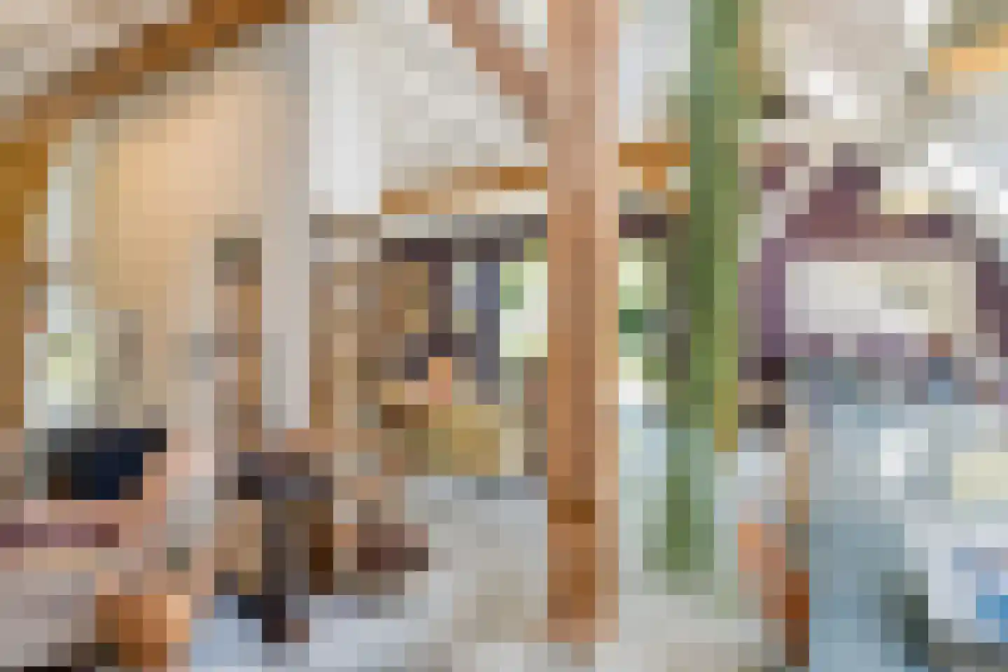Schiphorsterstraat 3 Toldijk thumbnail 4