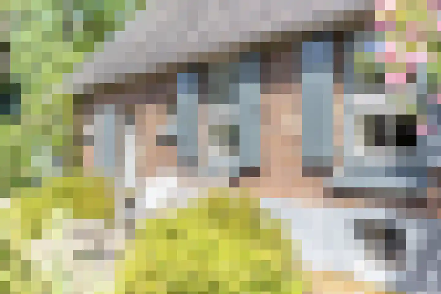 Schiphorsterstraat 3 Toldijk thumbnail 41