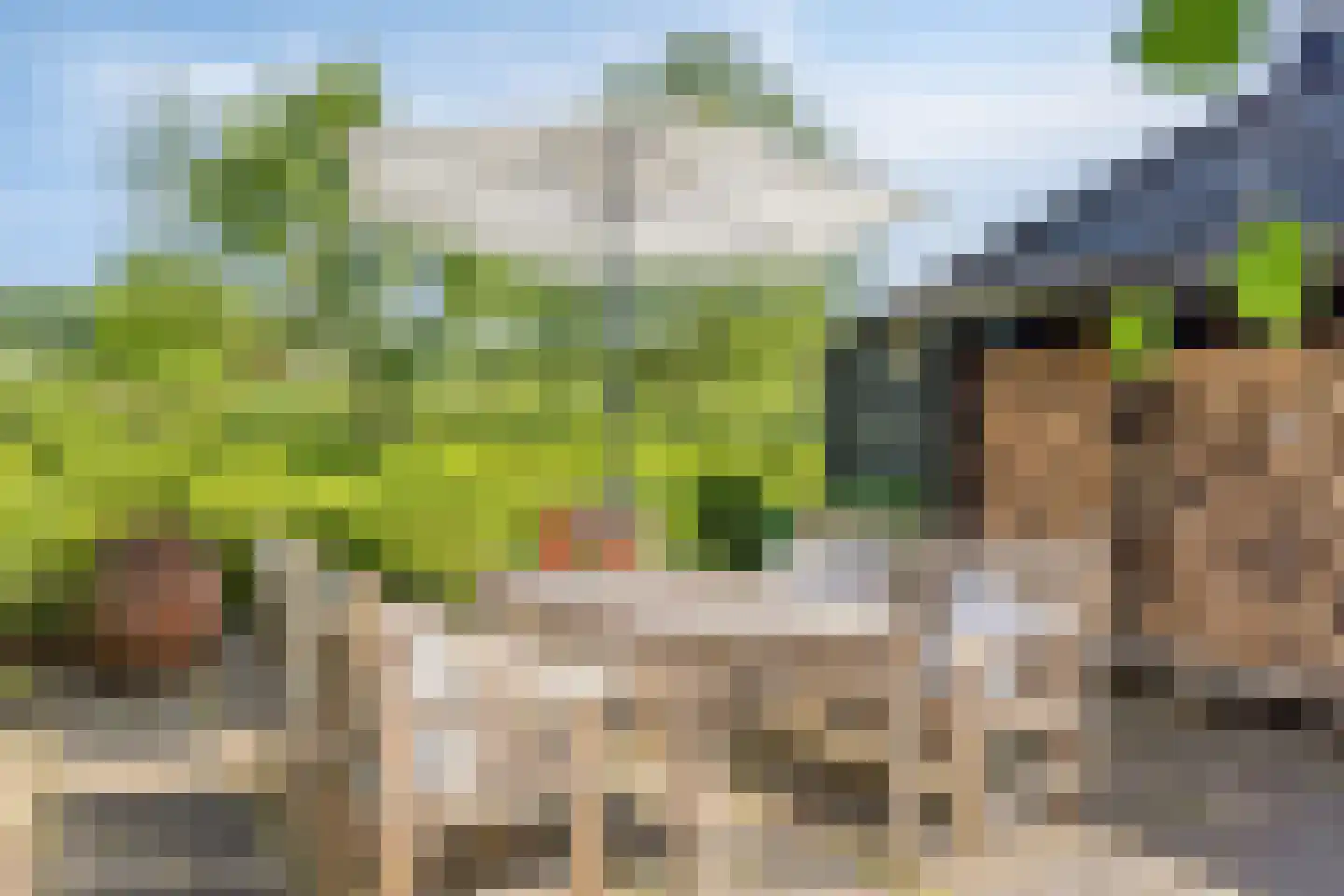 Schiphorsterstraat 3 Toldijk thumbnail 43