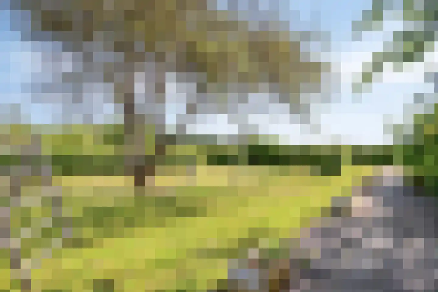 Schiphorsterstraat 3 Toldijk thumbnail 44