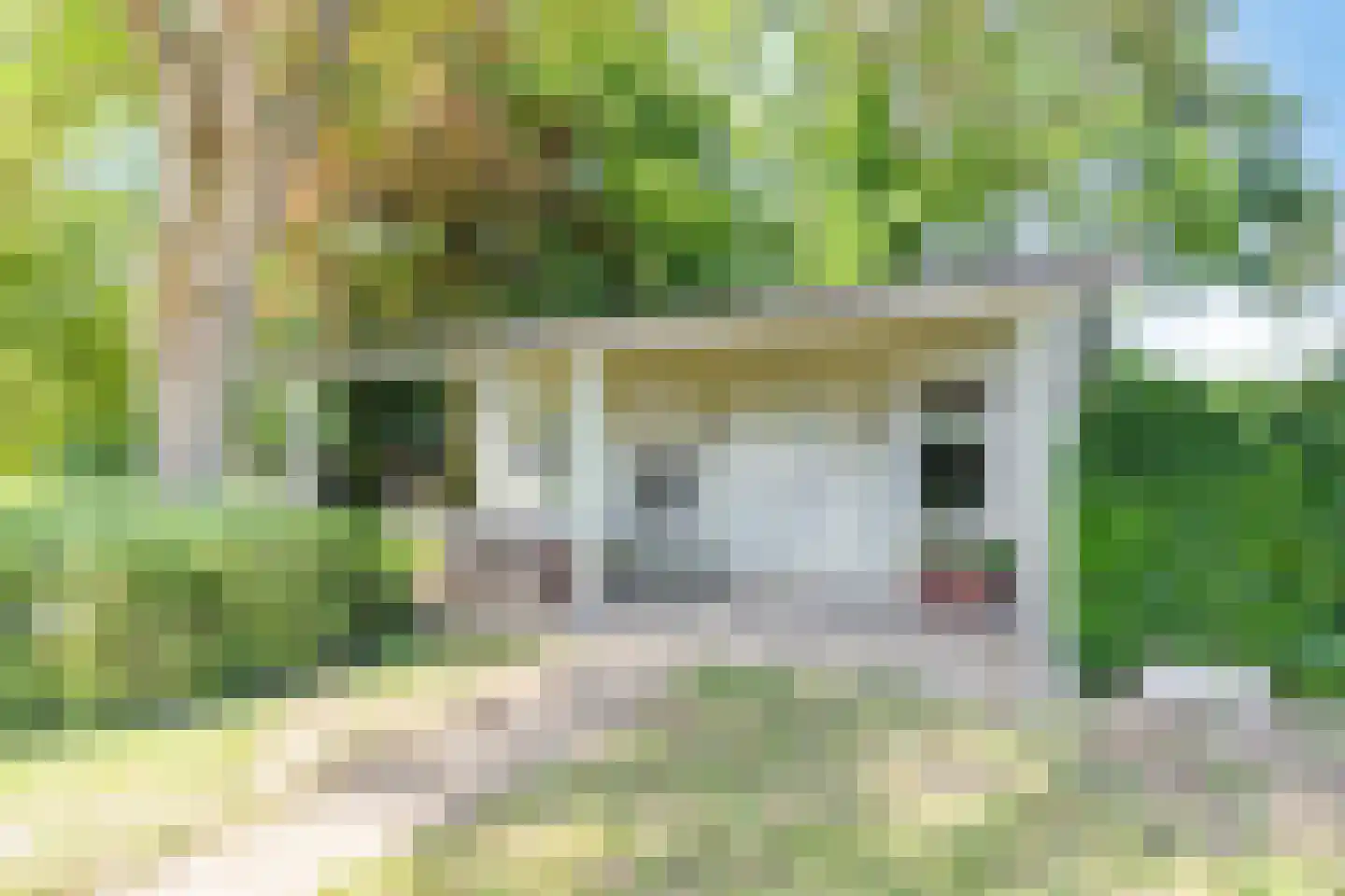 Schiphorsterstraat 3 Toldijk thumbnail 45