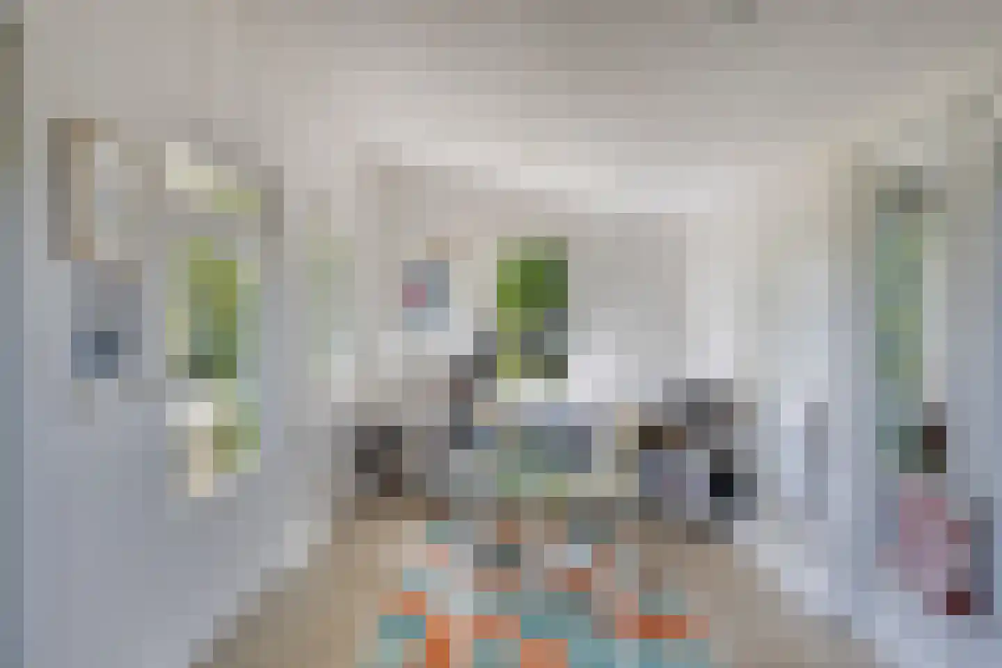 Schiphorsterstraat 3 Toldijk thumbnail 47