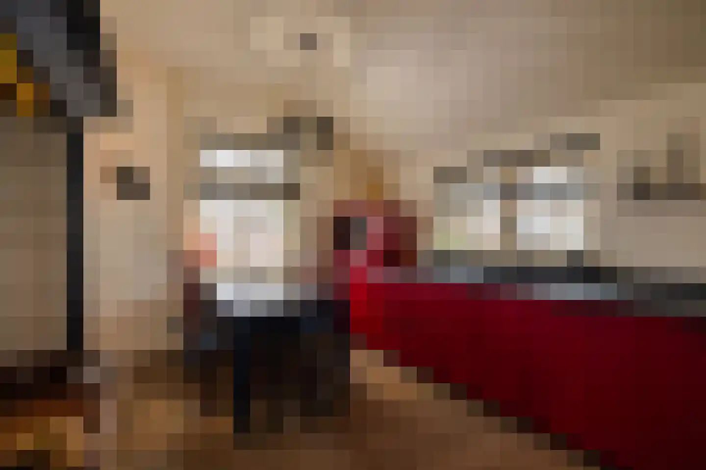 Schiphorsterstraat 6 Toldijk thumbnail 12