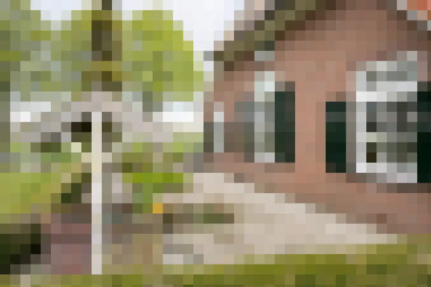 Schiphorsterstraat 6 Toldijk thumbnail 24