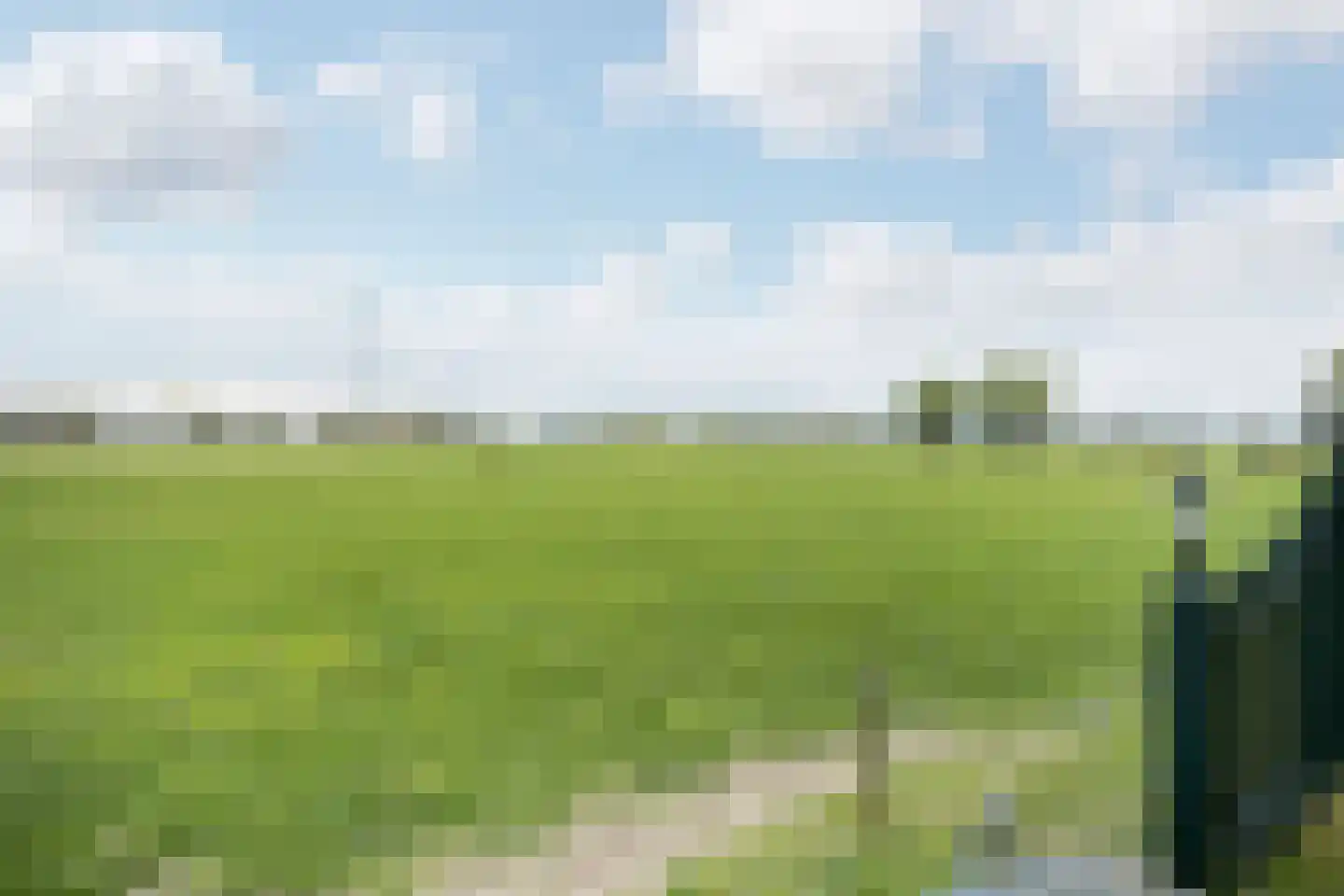 Schiphorsterstraat 6 Toldijk thumbnail 26