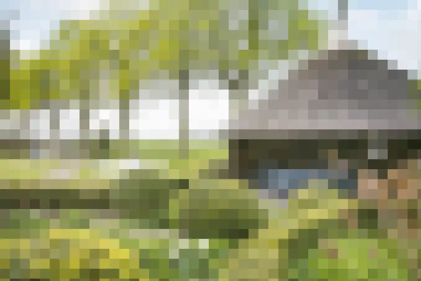 Schiphorsterstraat 6 Toldijk thumbnail 27