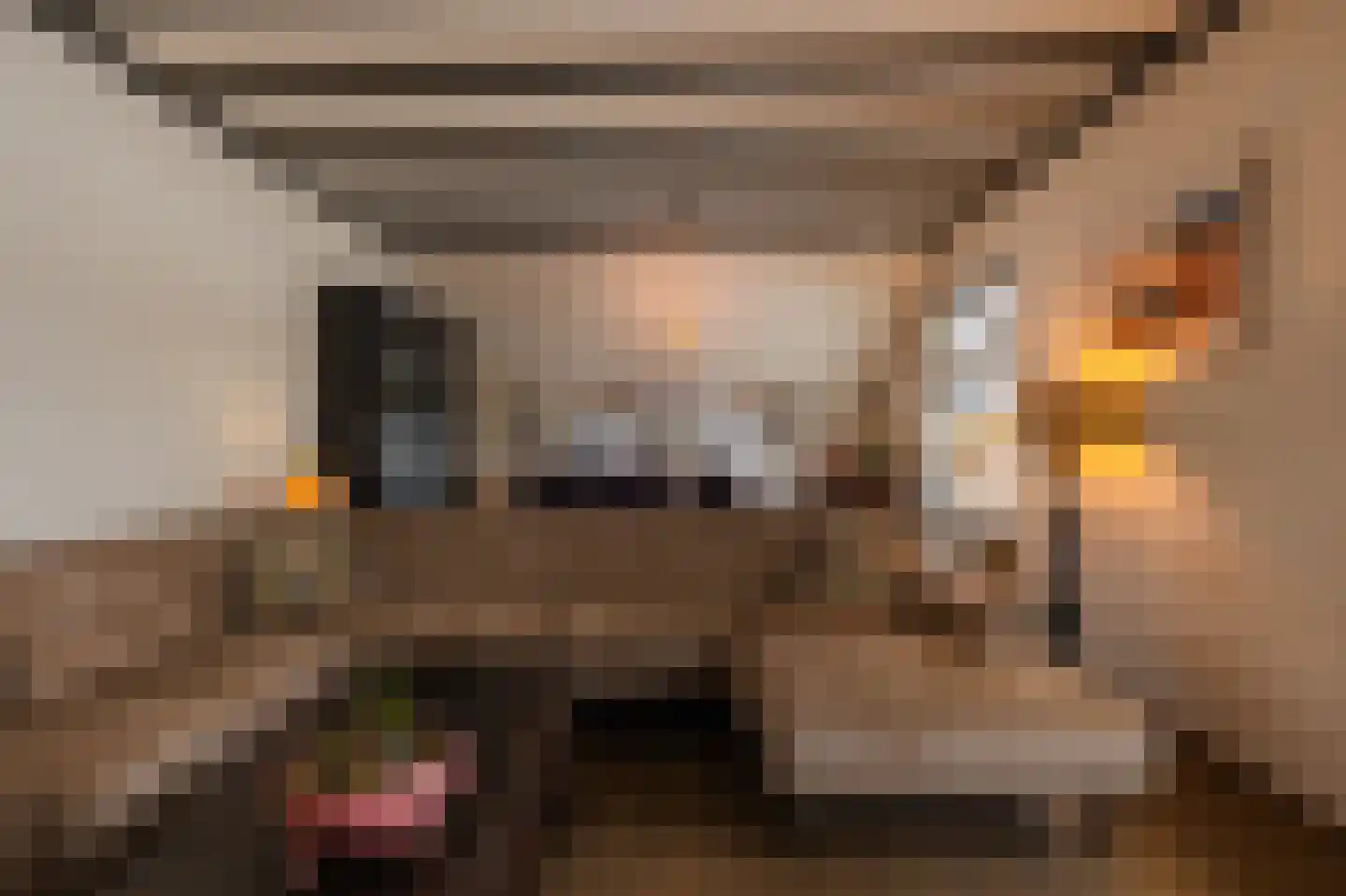Schiphorsterstraat 6 Toldijk thumbnail 5