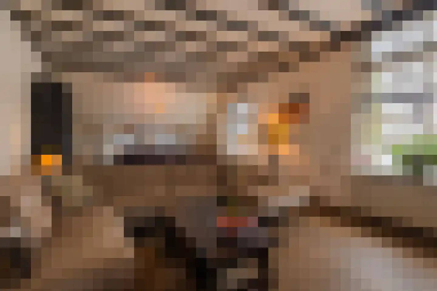 Schiphorsterstraat 6 Toldijk thumbnail 6