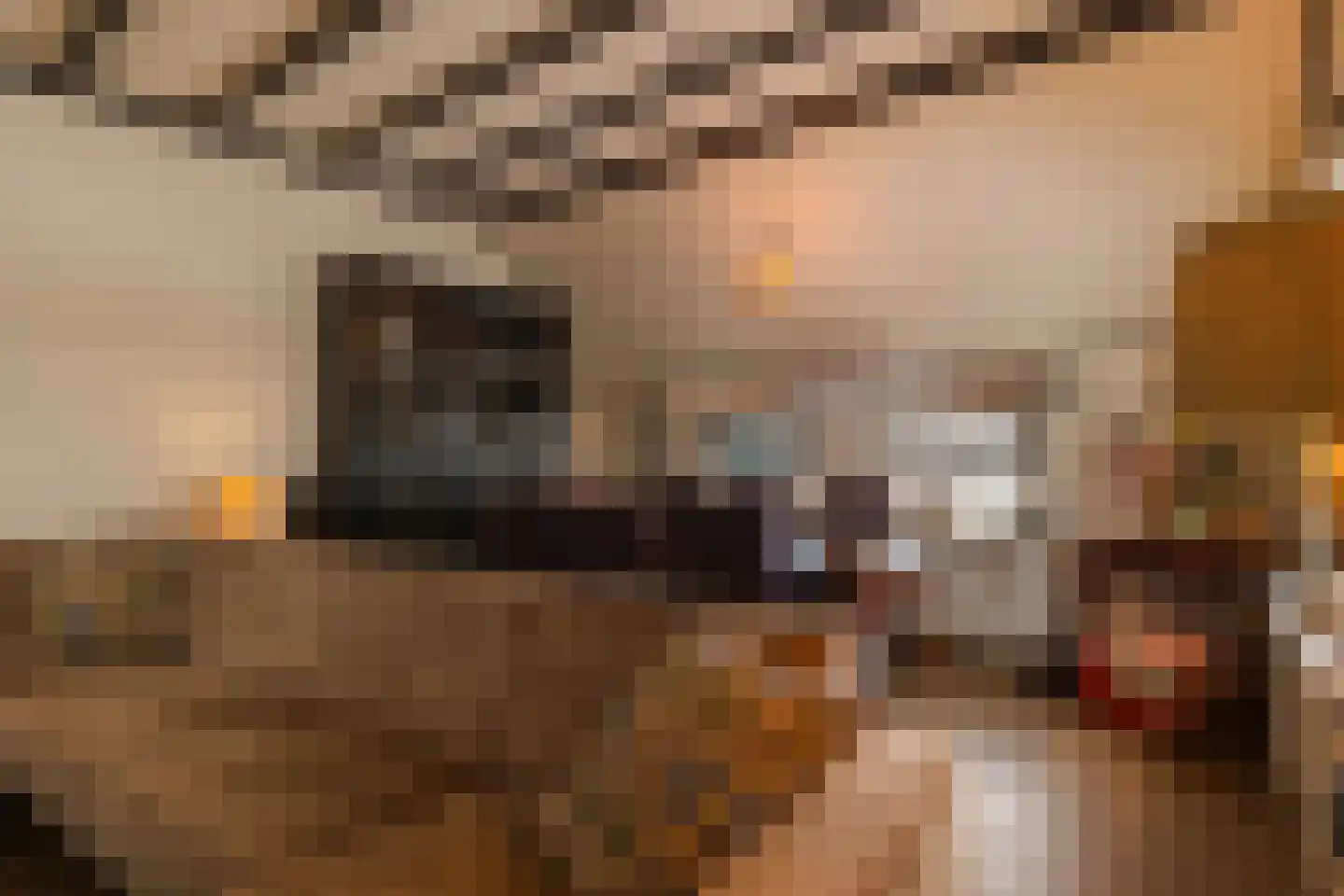 Schiphorsterstraat 6 Toldijk thumbnail 7