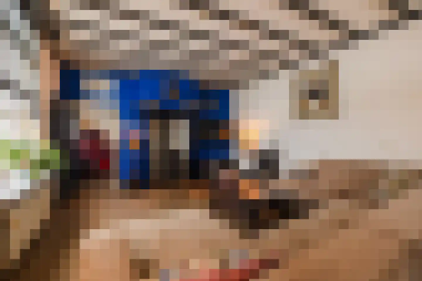 Schiphorsterstraat 6 Toldijk thumbnail 8