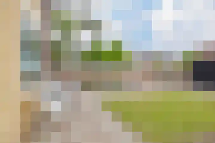Schiplaan 35 IJmuiden thumbnail 20