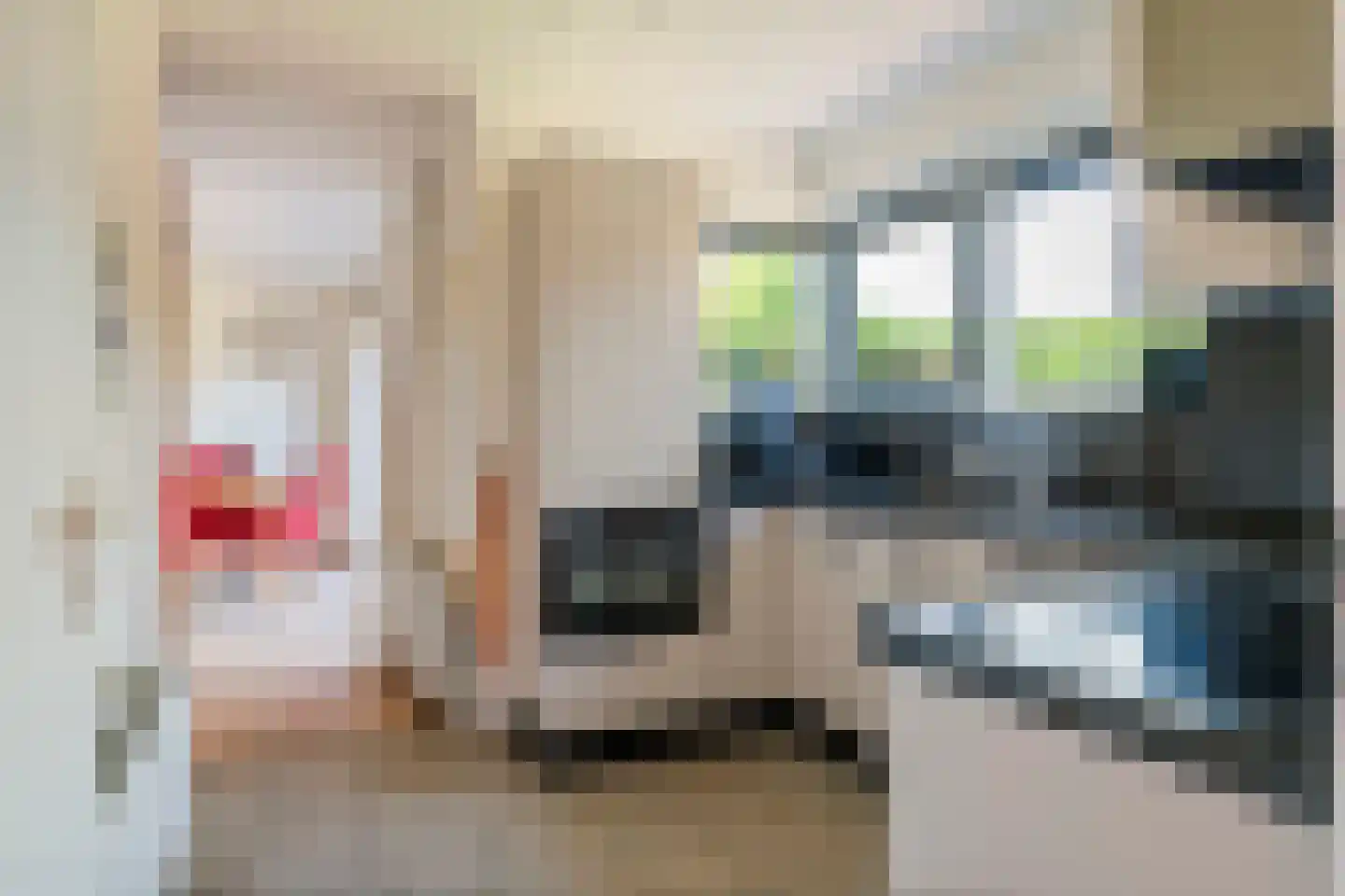 Schipleisingel 26 Druten thumbnail 10
