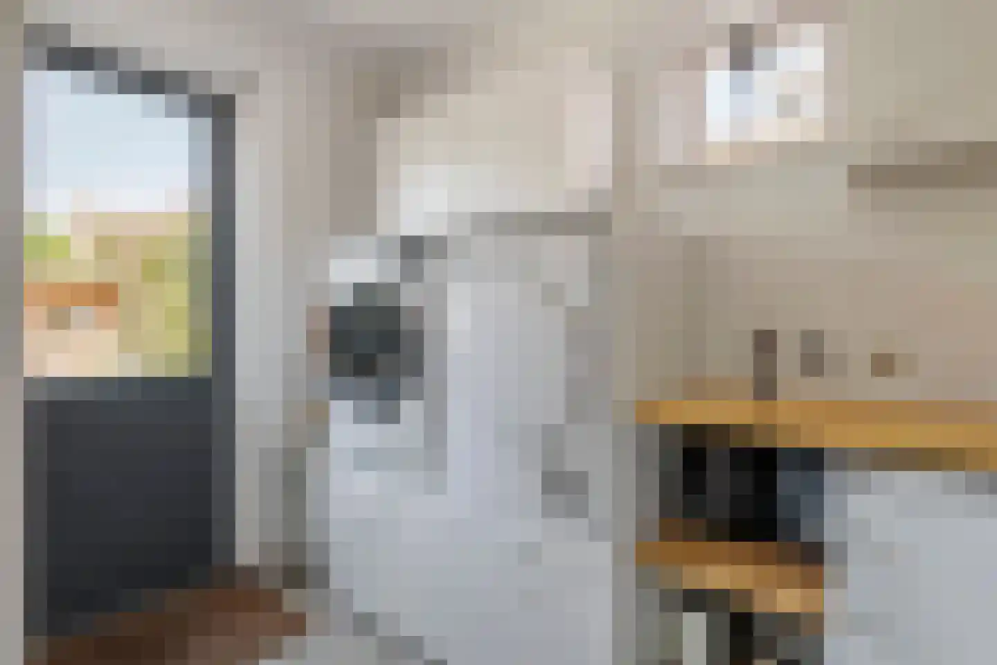 Schipleisingel 26 Druten thumbnail 12