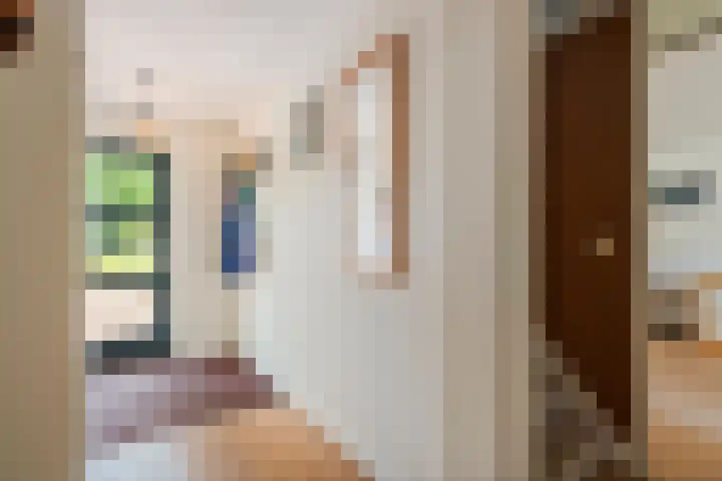 Schipleisingel 26 Druten thumbnail 13