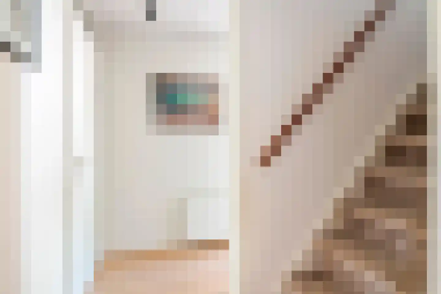 Schipleisingel 26 Druten thumbnail 15