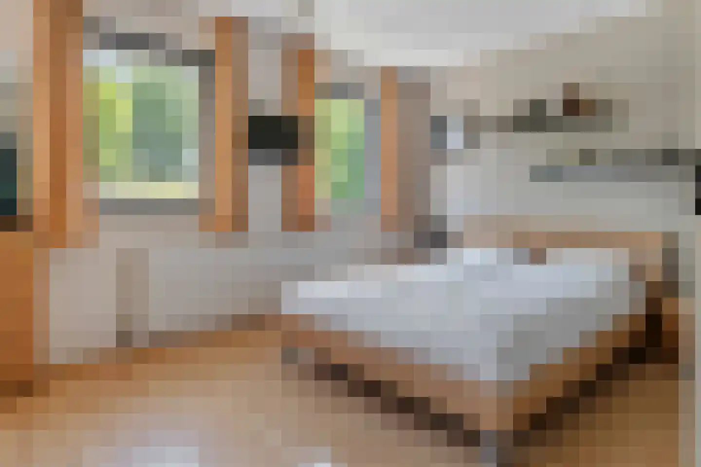 Schipleisingel 26 Druten thumbnail 16