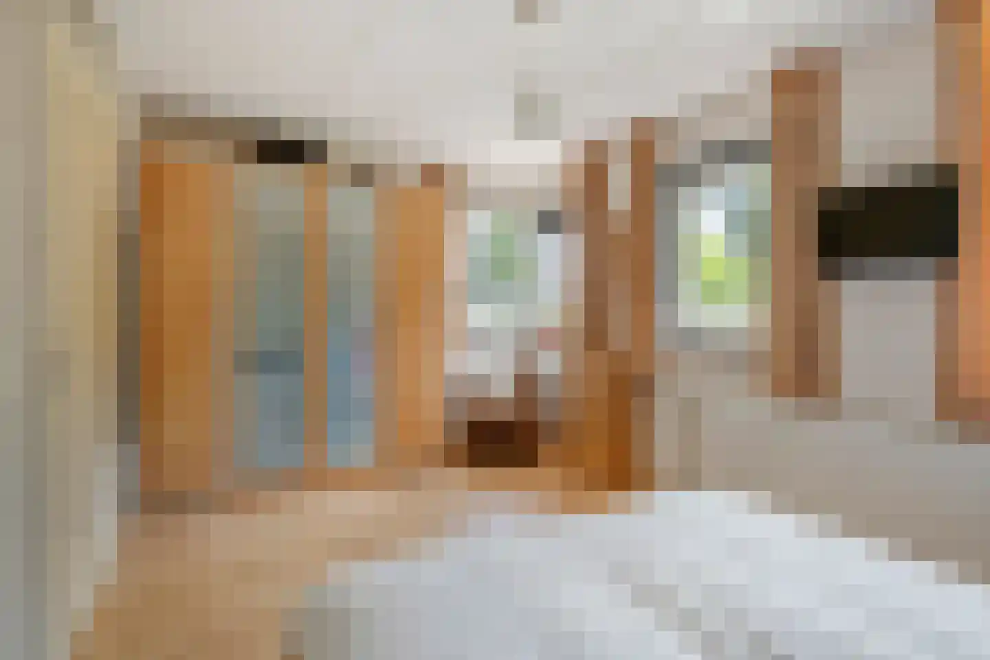 Schipleisingel 26 Druten thumbnail 17