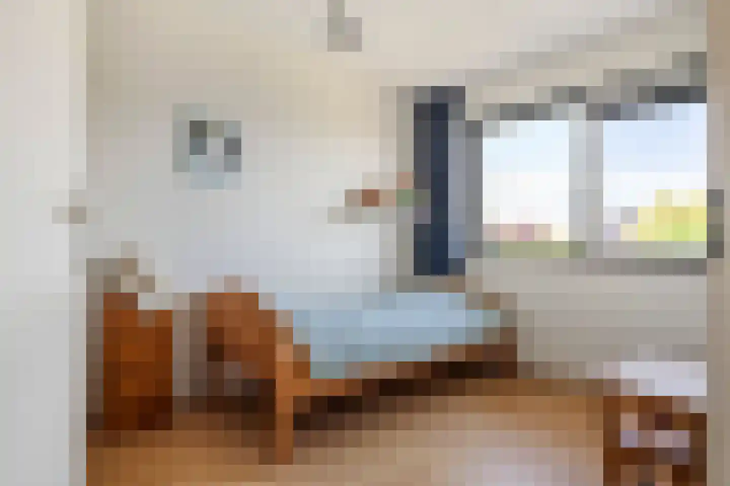 Schipleisingel 26 Druten thumbnail 18