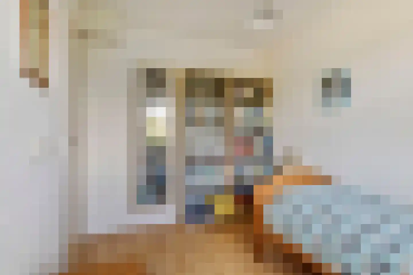 Schipleisingel 26 Druten thumbnail 19