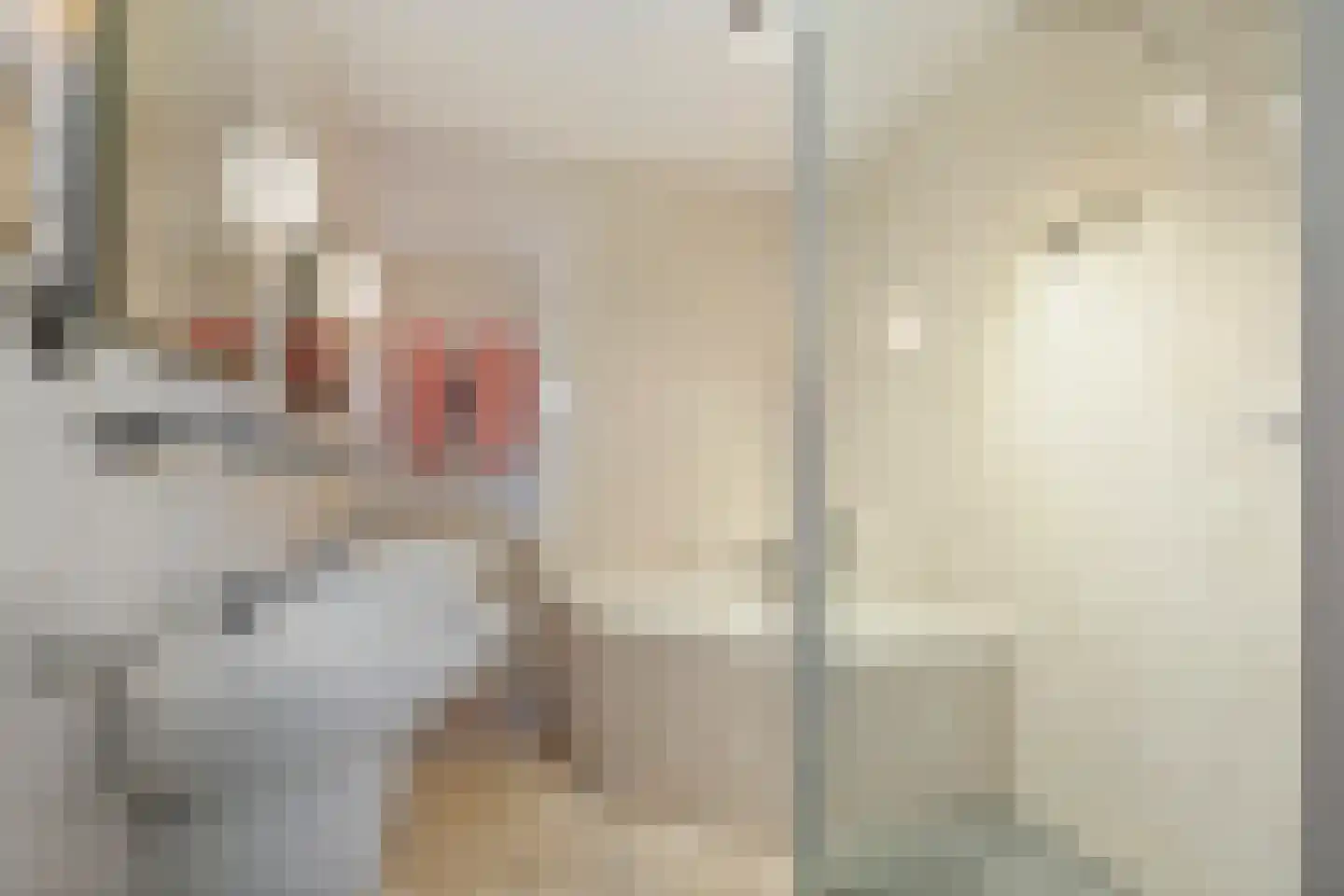 Schipleisingel 26 Druten thumbnail 21