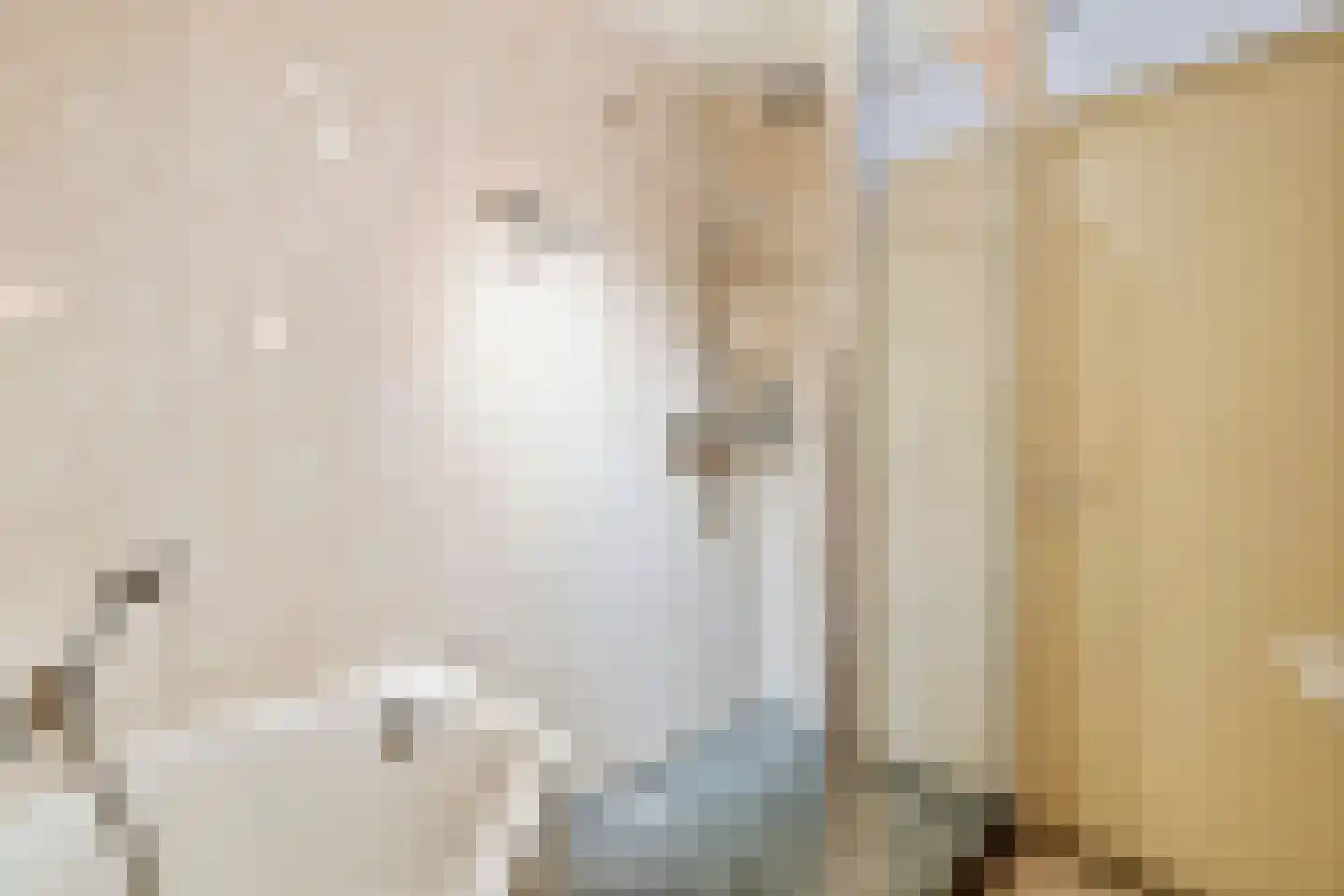 Schipleisingel 26 Druten thumbnail 22