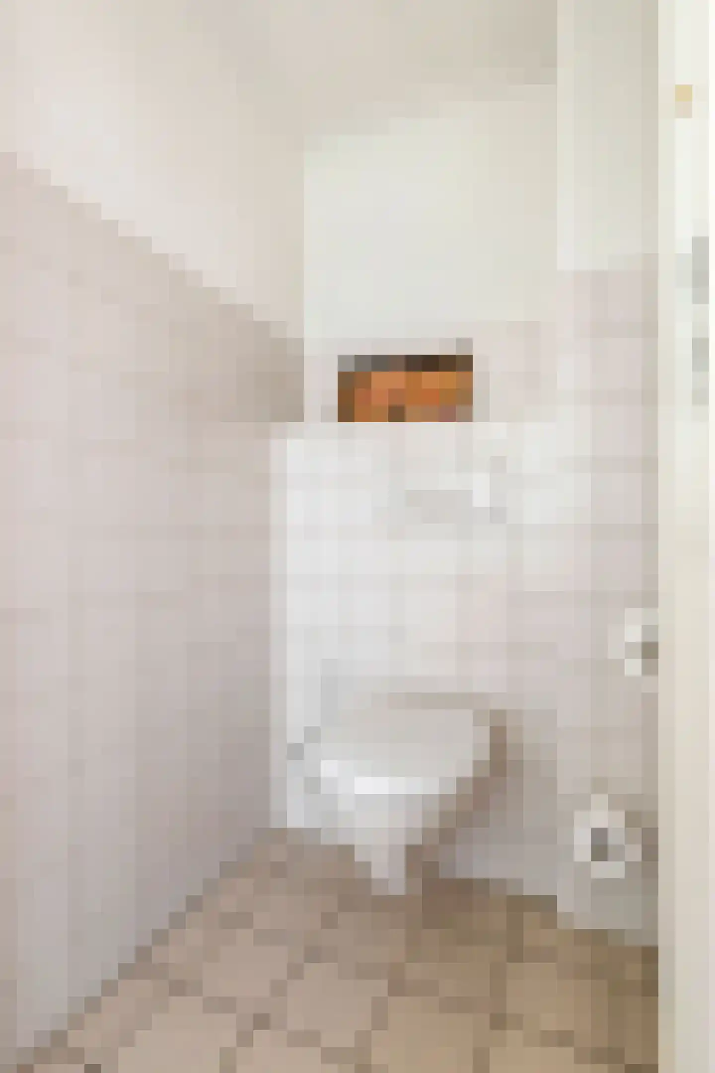 Schipleisingel 26 Druten thumbnail 24