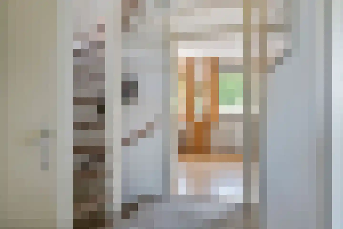 Schipleisingel 26 Druten thumbnail 25
