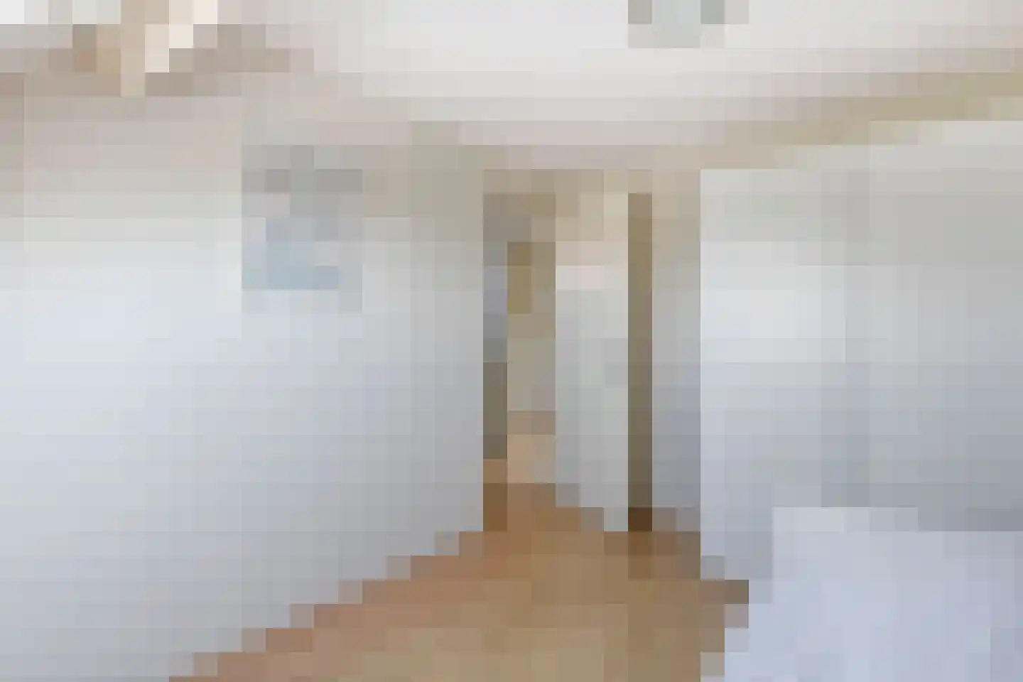 Schipleisingel 26 Druten thumbnail 27