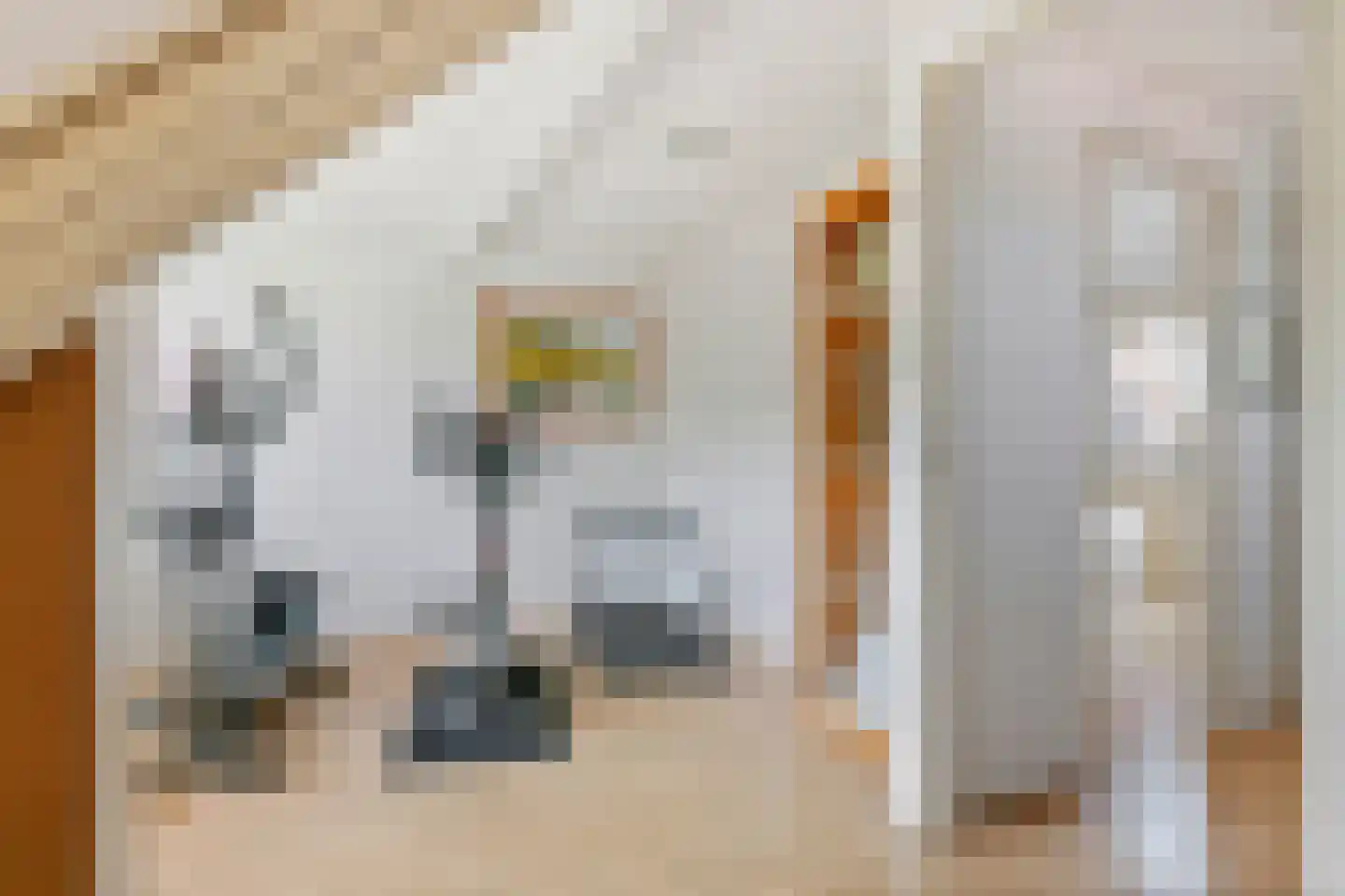 Schipleisingel 26 Druten thumbnail 28