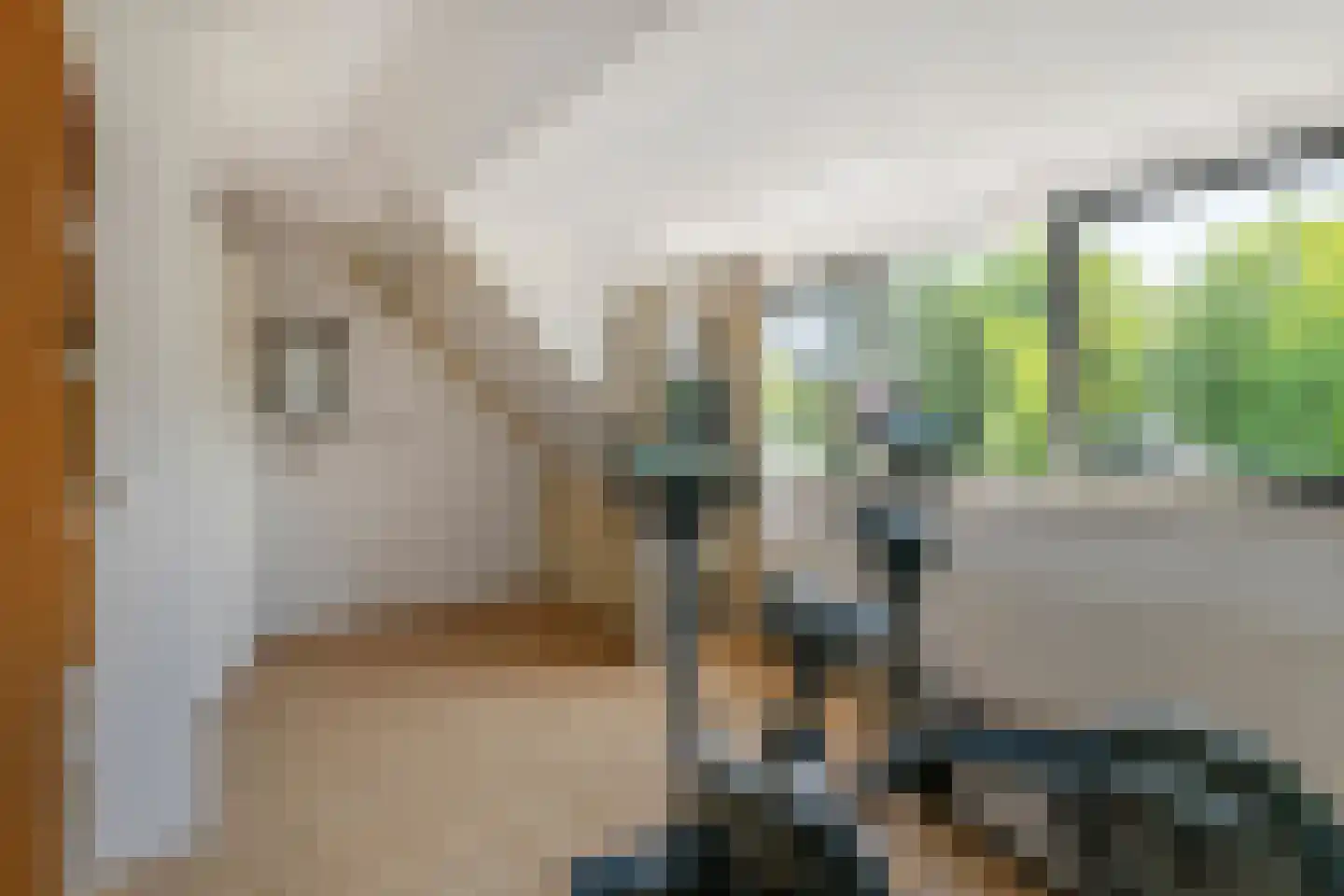 Schipleisingel 26 Druten thumbnail 29