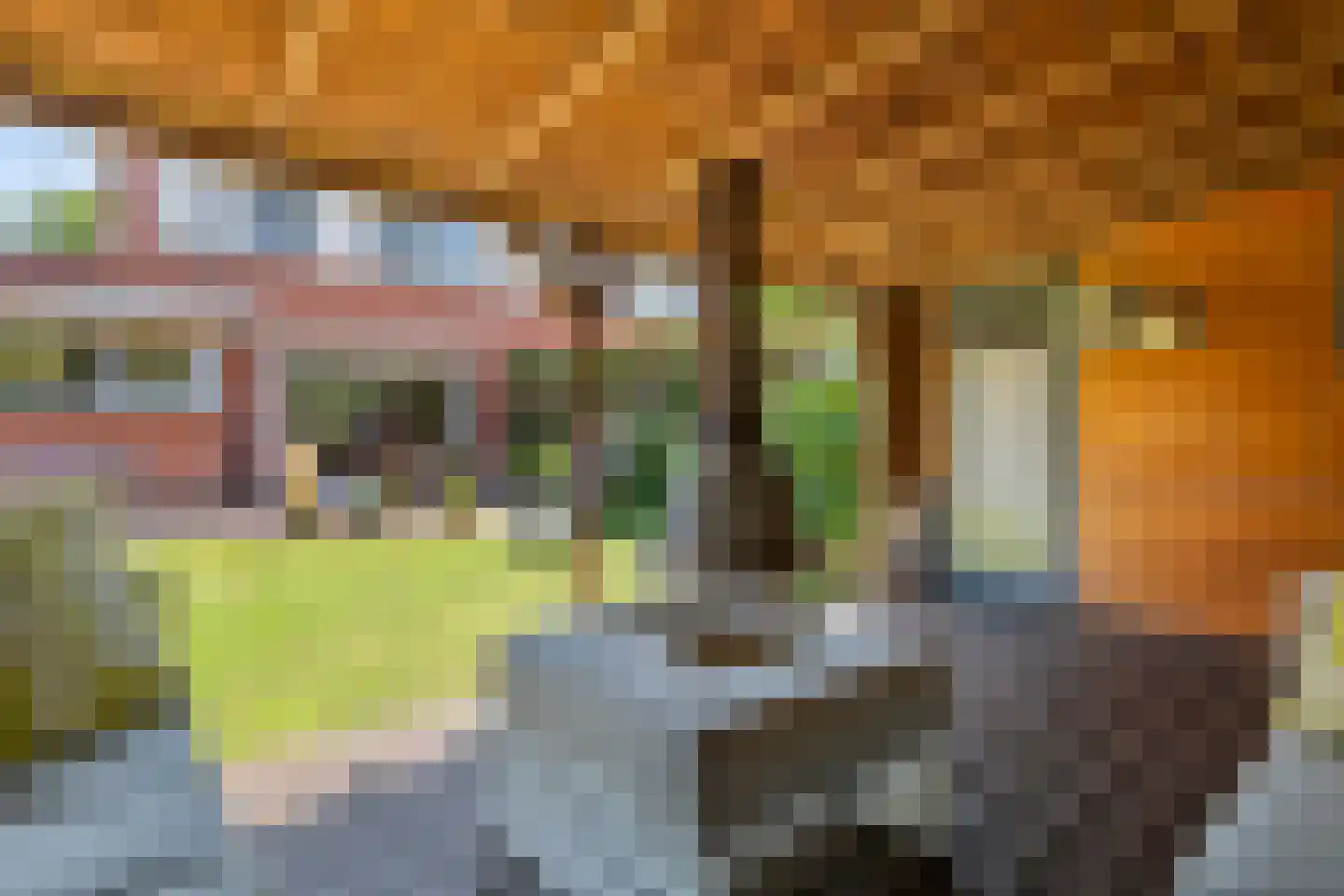 Schipleisingel 26 Druten thumbnail 32