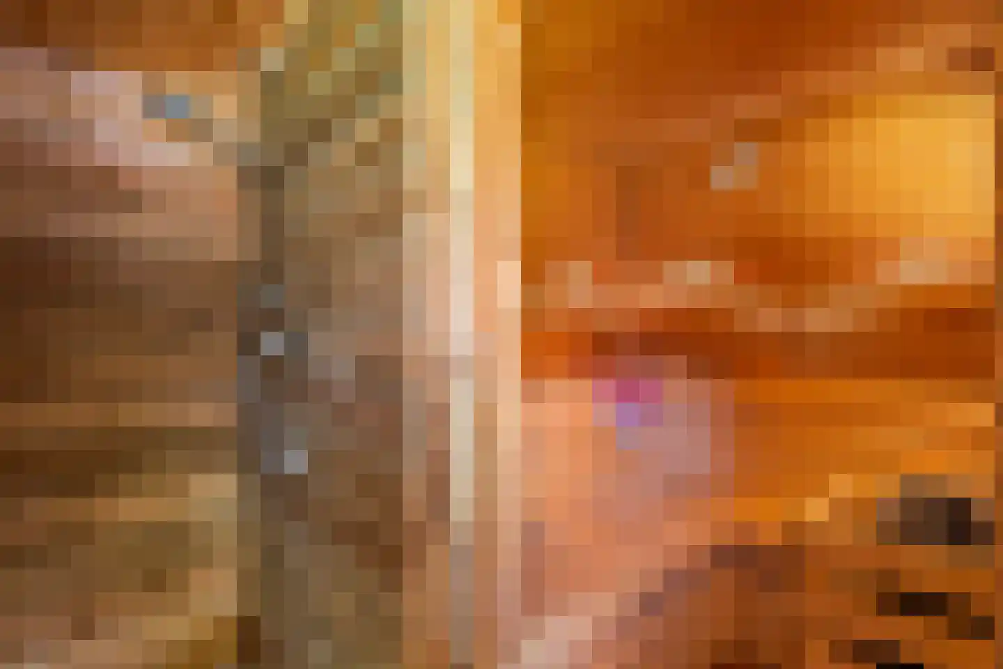 Schipleisingel 26 Druten thumbnail 33