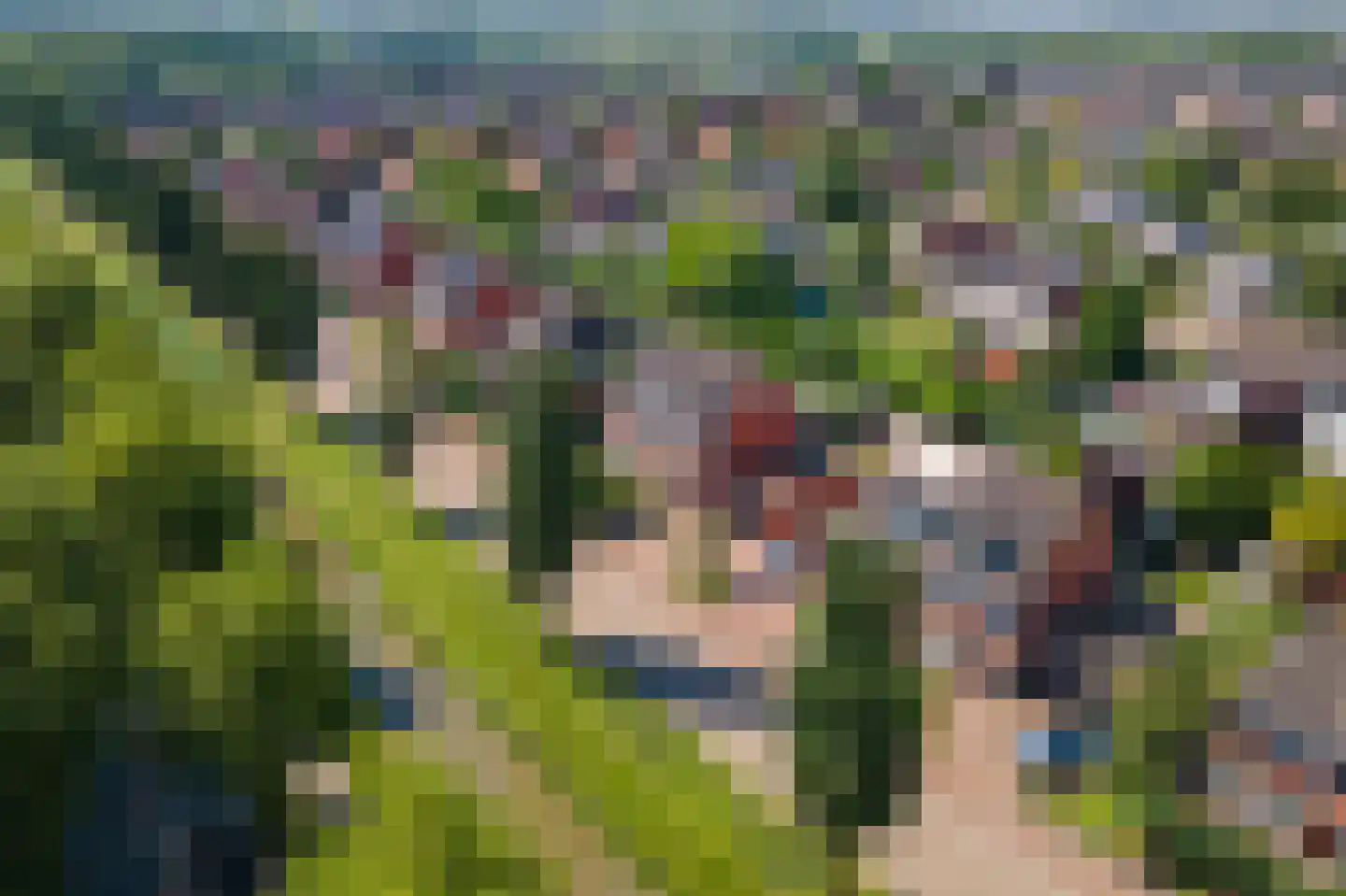 Schipleisingel 26 Druten thumbnail 39