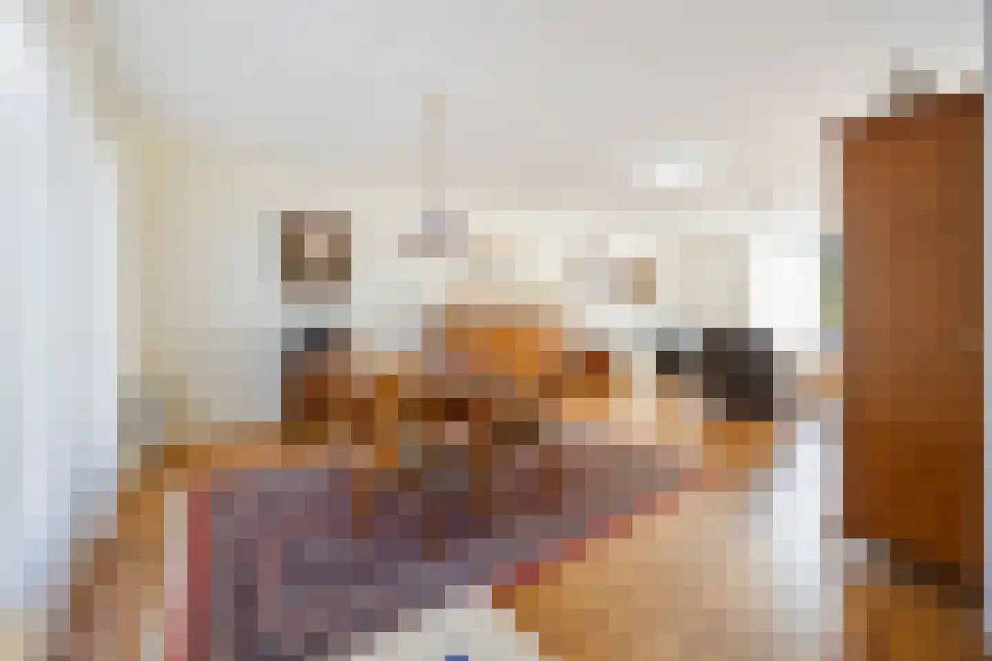 Schipleisingel 74 Druten thumbnail 11