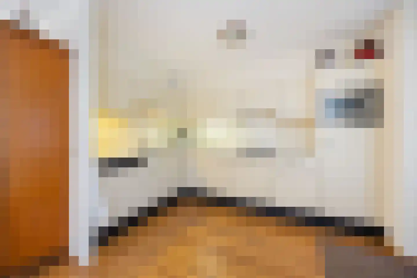 Schipleisingel 74 Druten thumbnail 12
