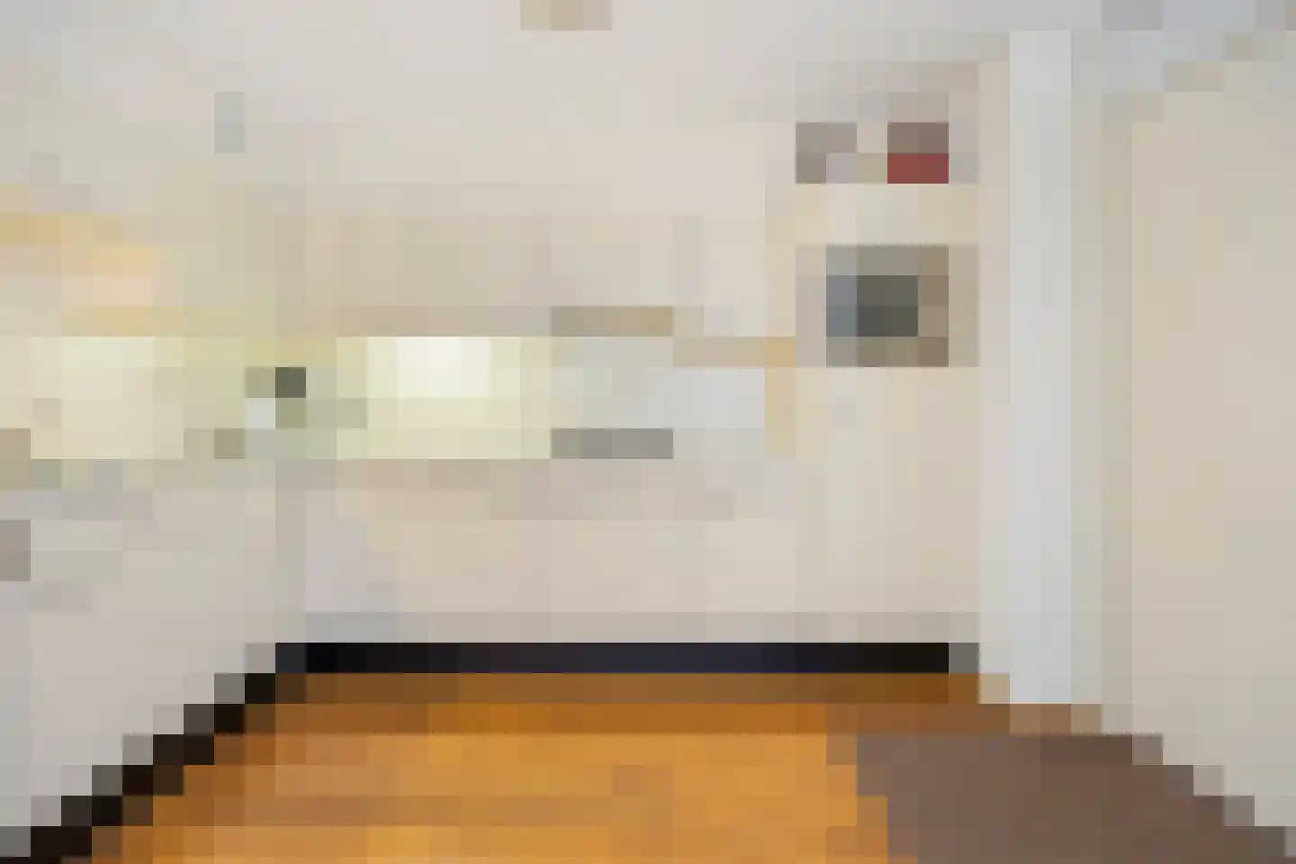 Schipleisingel 74 Druten thumbnail 14