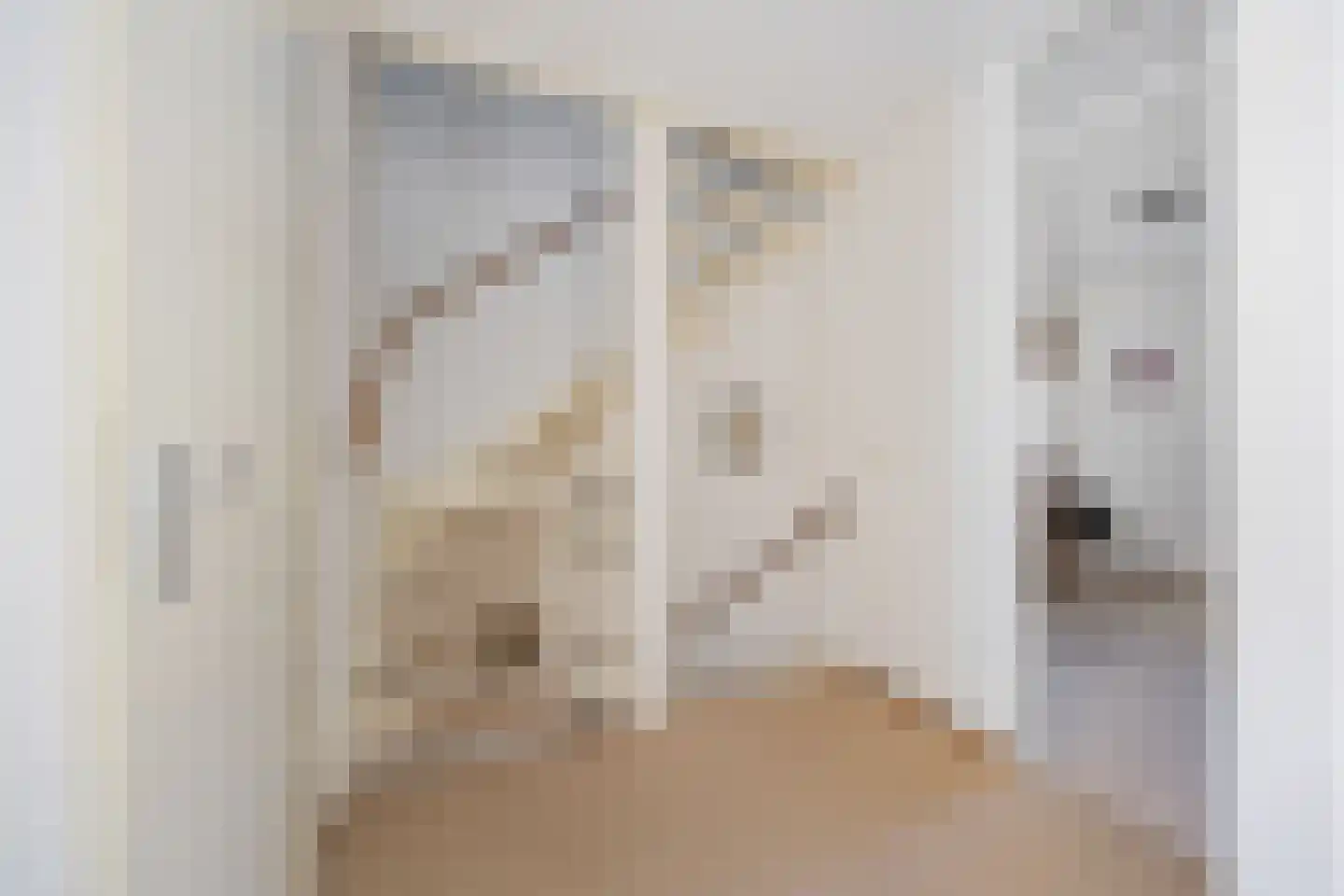 Schipleisingel 74 Druten thumbnail 20