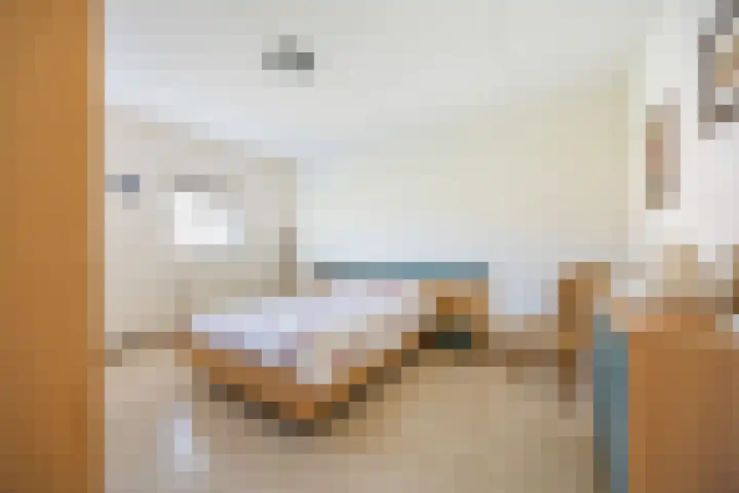 Schipleisingel 74 Druten thumbnail 22