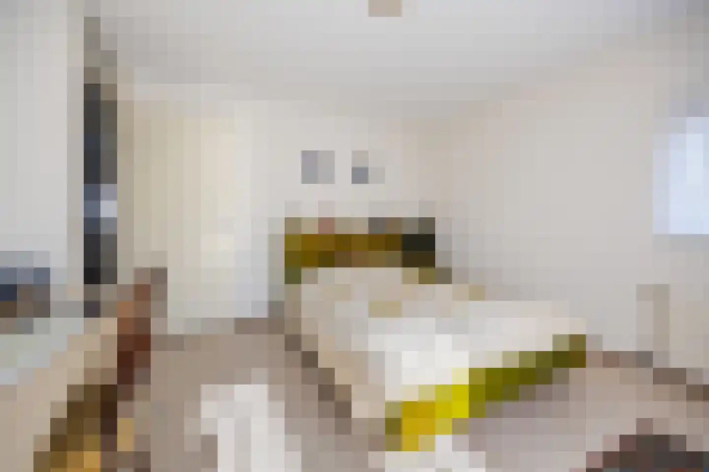 Schipleisingel 74 Druten thumbnail 27