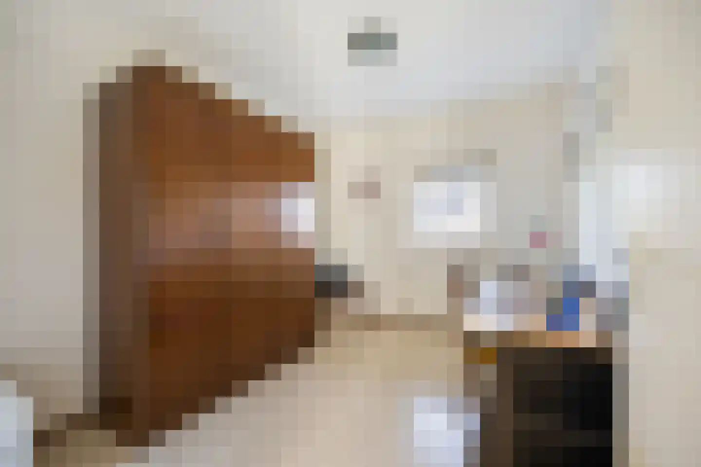 Schipleisingel 74 Druten thumbnail 28