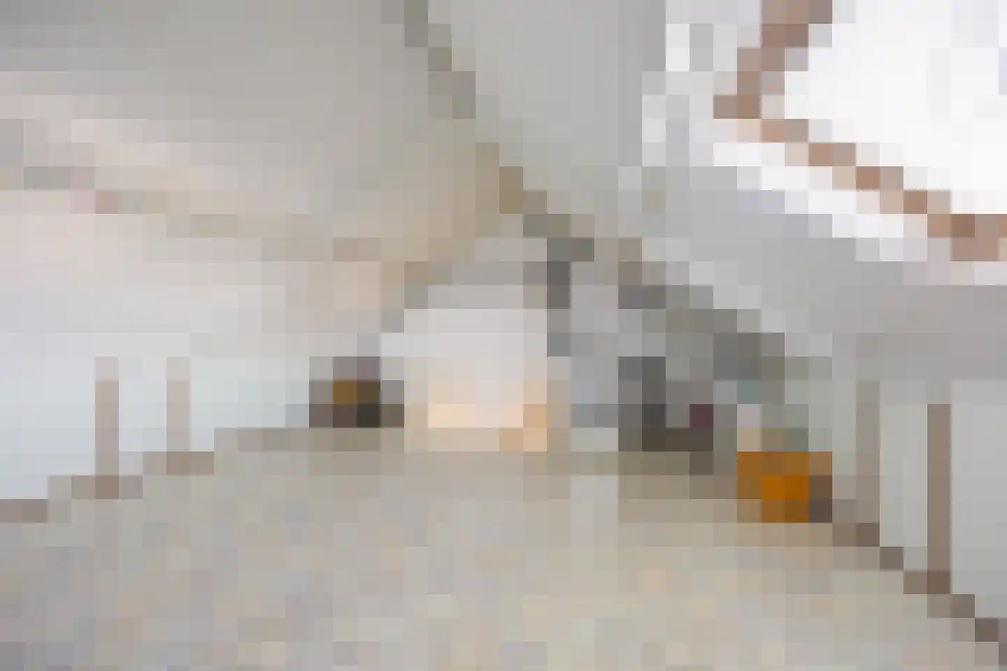 Schipleisingel 74 Druten thumbnail 33