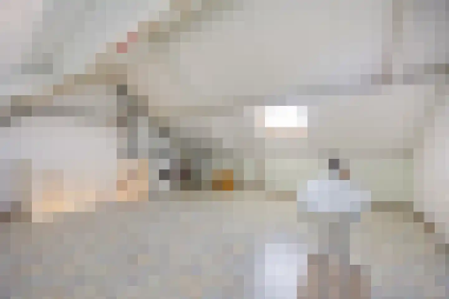 Schipleisingel 74 Druten thumbnail 34