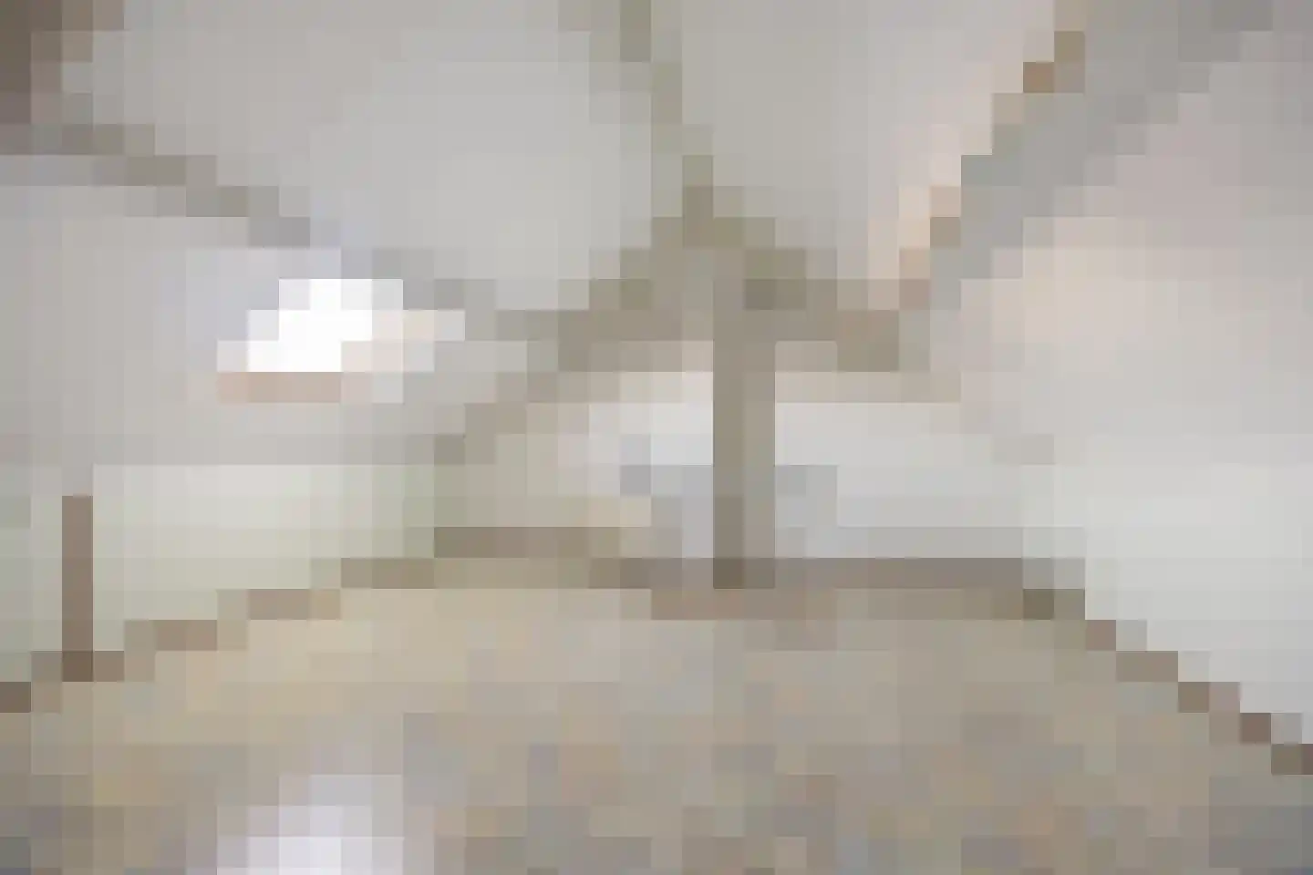 Schipleisingel 74 Druten thumbnail 35