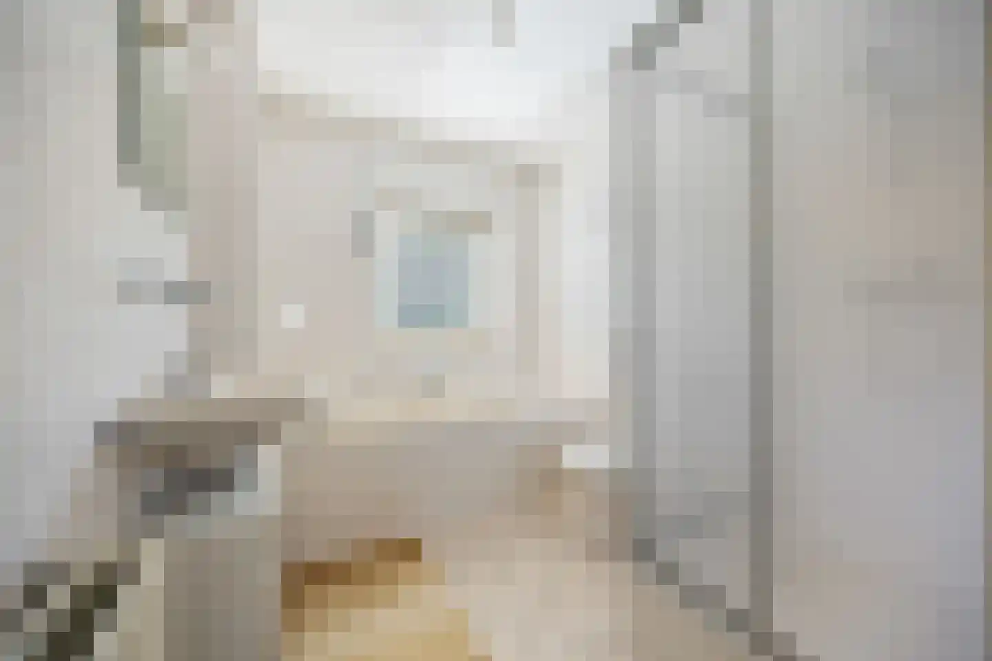 Schipleisingel 74 Druten thumbnail 4