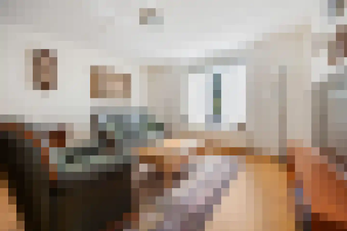 Schipleisingel 74 Druten thumbnail 5