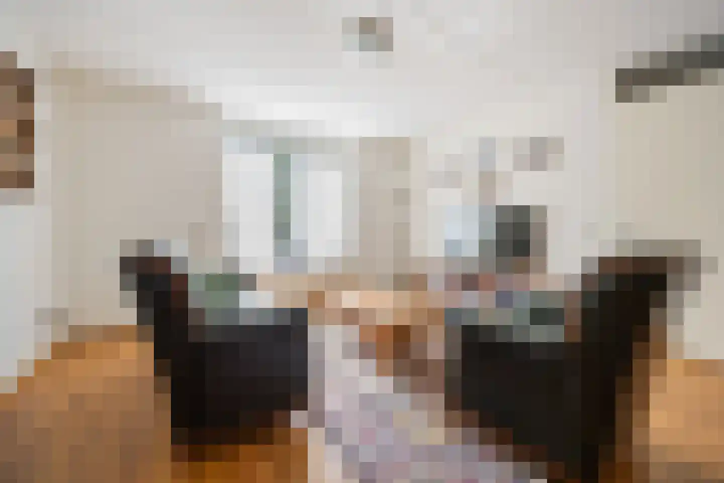 Schipleisingel 74 Druten thumbnail 6