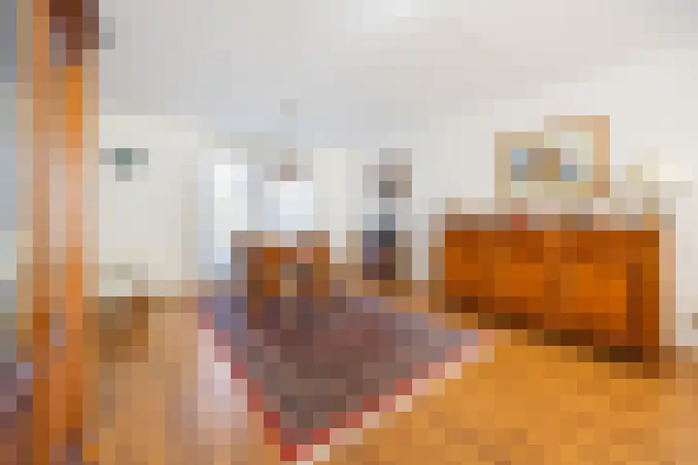 Schipleisingel 74 Druten thumbnail 8