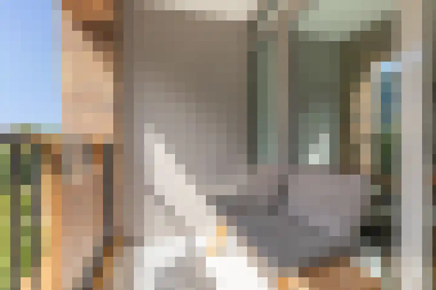 Schipluidenlaan 108 Amsterdam thumbnail 11