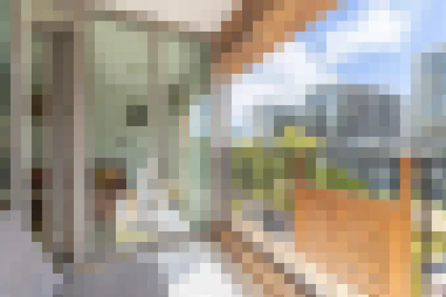 Schipluidenlaan 108 Amsterdam thumbnail 13