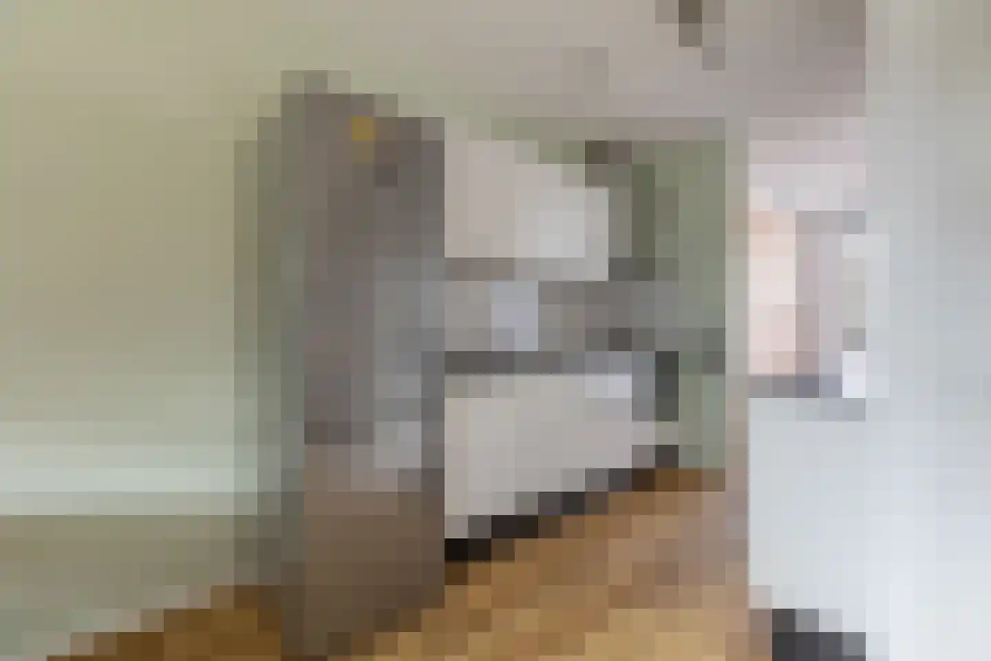 Schipluidenlaan 108 Amsterdam thumbnail 16